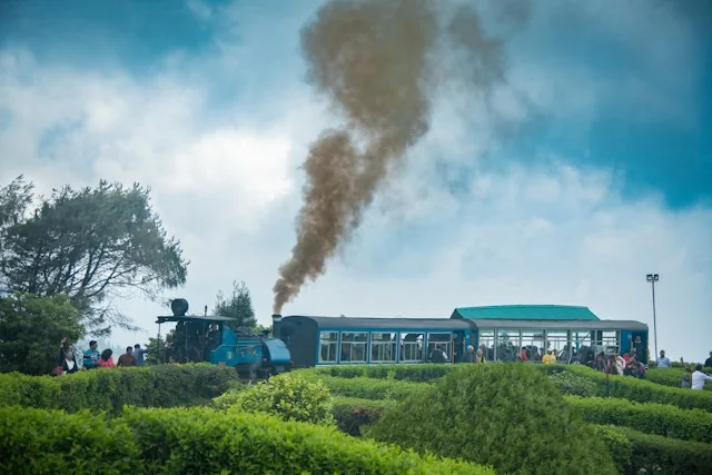 Top 7 Things to Do in Darjeeling: Toy Train, Tiger Hill Sunrise & Tea Gardens